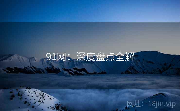91网:深度盘点全解 第1张 91网:深度盘点全解 第1张