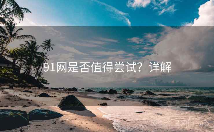 91网是否值得尝试?详解 第2张 91网是否值得尝试?详解 第2张