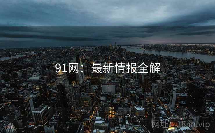 91网:最新情报全解 第1张 91网:最新情报全解 第1张