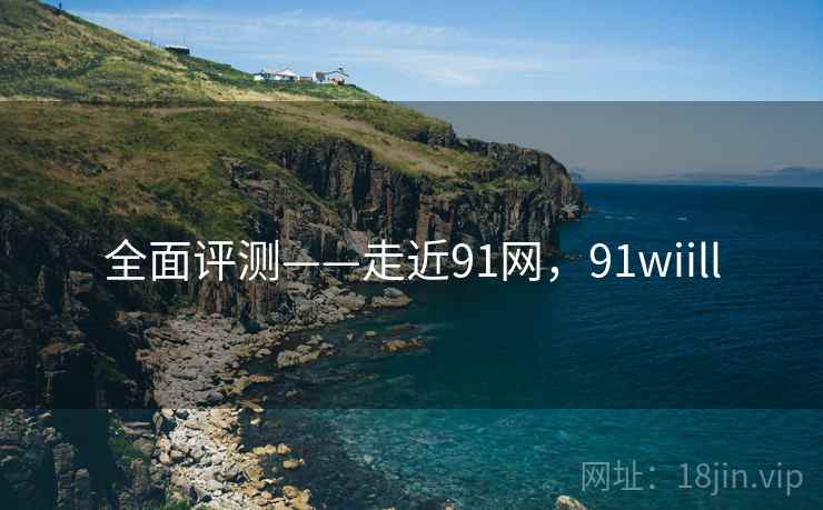 全面评测——走近91网,91wiill 第2张 全面评测——走近91网,91wiill 第2张