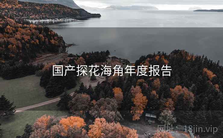 国产探花海角年度报告  第2张