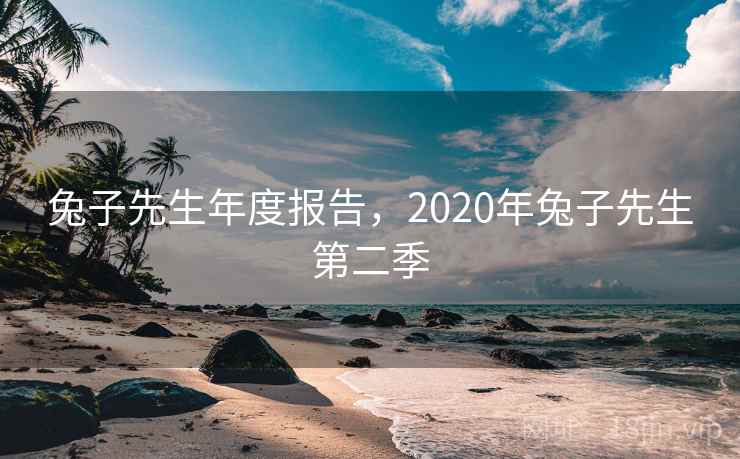 兔子先生年度报告,2020年兔子先生第二季 第2张 兔子先生年度报告,2020年兔子先生第二季 第2张