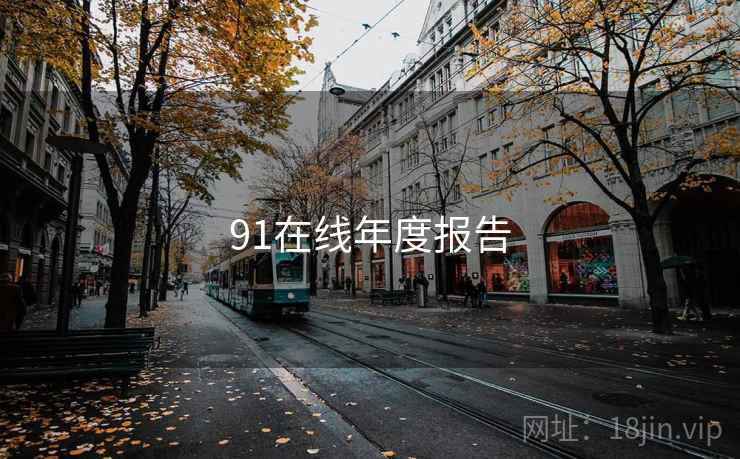 91在线年度报告 第1张 91在线年度报告 第1张